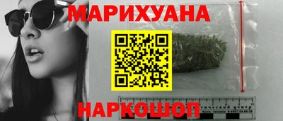 сатива Малгобек
