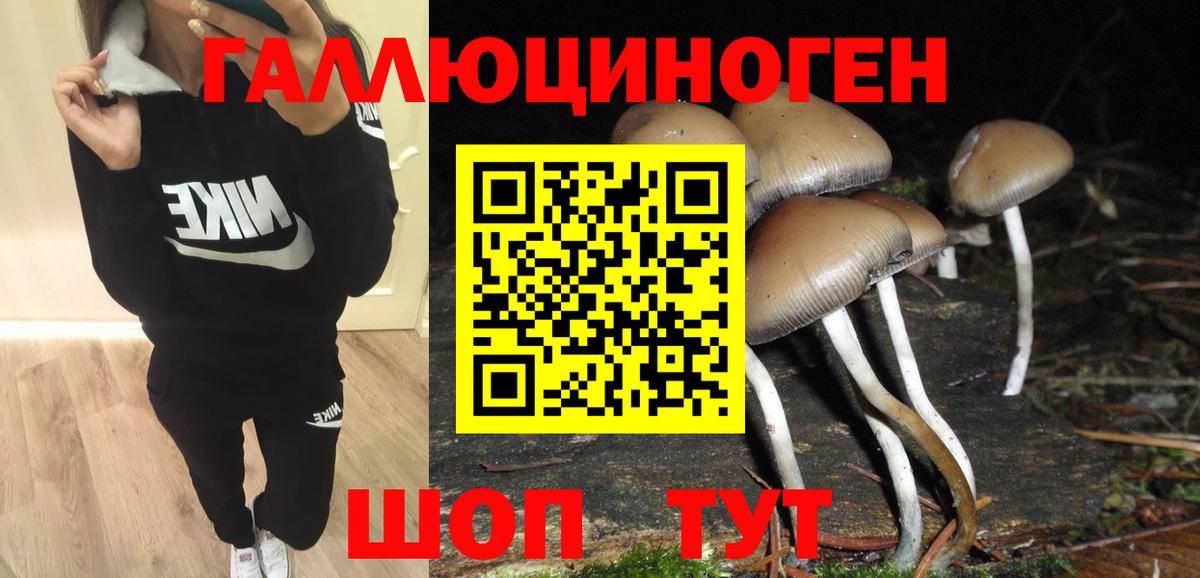Псилоцибиновые грибы прущие грибы  Вход с VPN  Псилоцибиновые грибы MAGIC MUSHROOMS  Шахты 