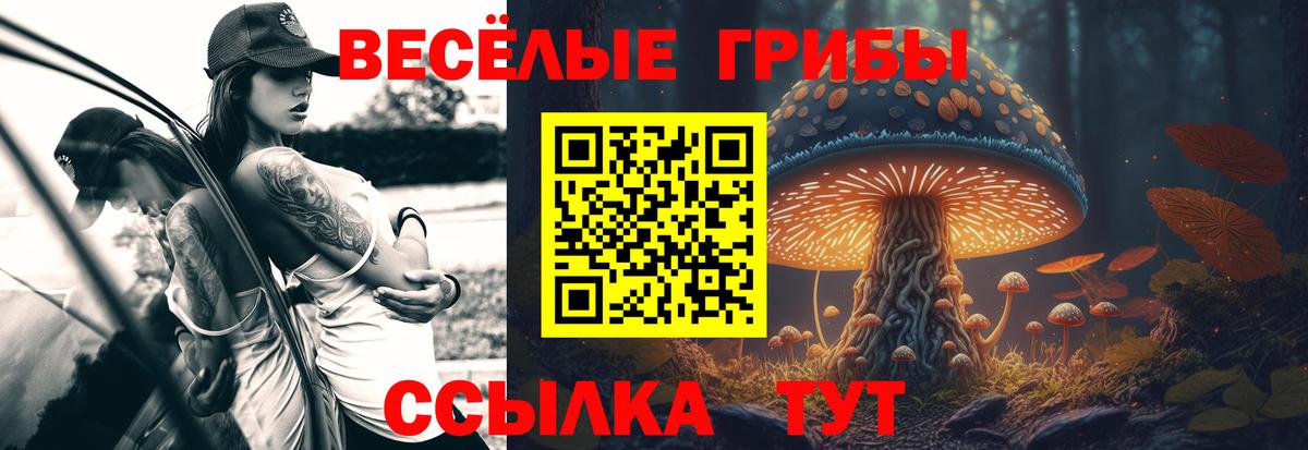 Галлюциногенные грибы MAGIC MUSHROOMS Шахты